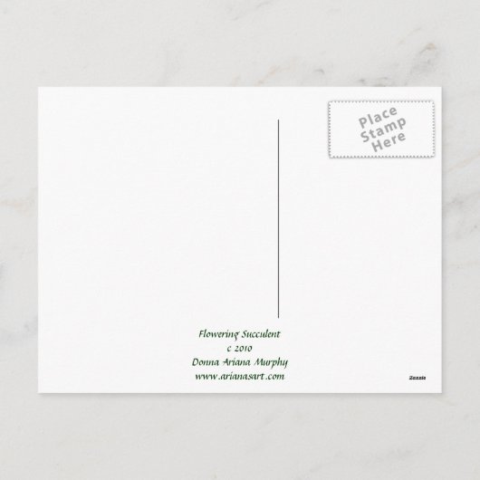 Bloemend Succulent Feestdagenkaart (Achterkant)