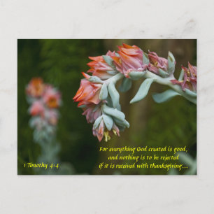 Bloemend Succulent Feestdagenkaart