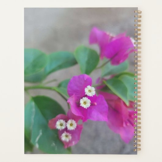 Bloemendagplanner  planner (Achterkant)