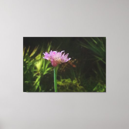 Bloemende Chives en Palmetto Canvas Afdruk (Voorkant)