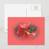 Bloemende kweepboom briefkaart (Voorkant / Achterkant)