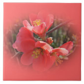 Bloemende kweepboom tegeltje (Voorkant)