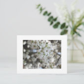 Bloemende perenboom briefkaart (Staand voorkant)