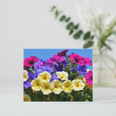 Bloemende petunia surfinia briefkaart (Staand voorkant)