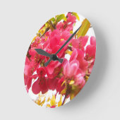 Bloemende Quince Japan Pink Spring Flowers Shrub Ronde Klok (Hoek)