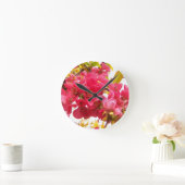 Bloemende Quince Japan Pink Spring Flowers Shrub Ronde Klok (Huis)