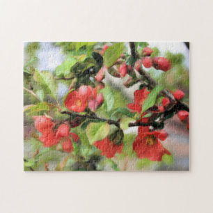 Bloemende Quince Red Blossom Legpuzzel