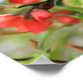 Bloemende Quince Red Blossom Poster (Hoek)