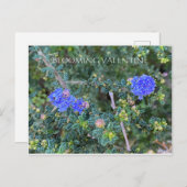 BLOEMENDE VALENTIJN BRIEFKAART (Voorkant / Achterkant)