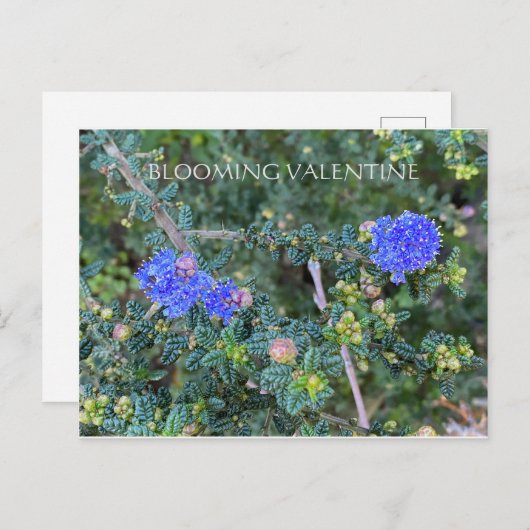 BLOEMENDE VALENTIJN BRIEFKAART (Voorkant / Achterkant)