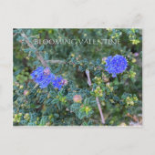 BLOEMENDE VALENTIJN BRIEFKAART (Voorkant)