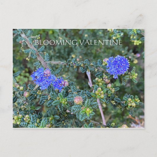 BLOEMENDE VALENTIJN BRIEFKAART (Voorkant)