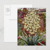 Bloemende Yucca Briefkaart (Voorkant / Achterkant)