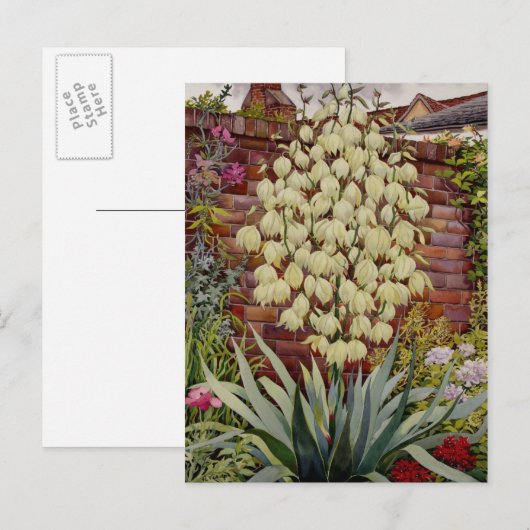 Bloemende Yucca Briefkaart (Voorkant / Achterkant)