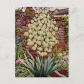 Bloemende Yucca Briefkaart (Voorkant)