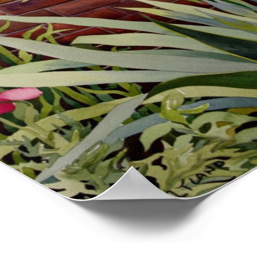 Bloemende Yucca Poster (Hoek)