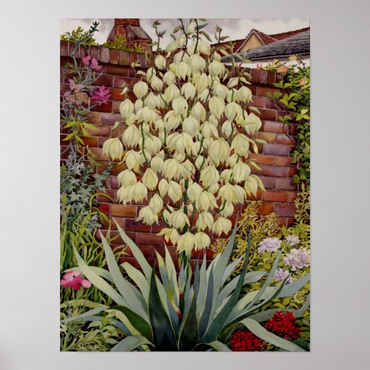 Bloemende Yucca Poster (Voorkant)