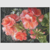 Bloemendecoupage van koraalrode geranium tissuepapier (Voorkant)