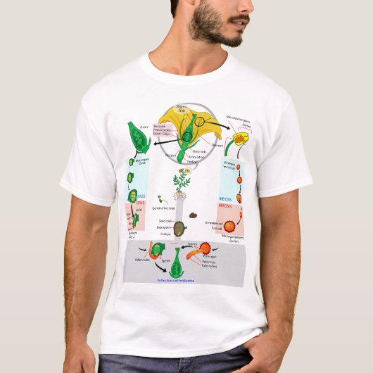 Bloemendragende Plant Angiosperm Levenscyclus Diag T-shirt (Voorkant)