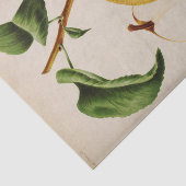 Bloemenephemera decoupage gele peer tissuepapier (Detail)