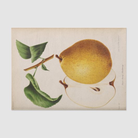 Bloemenephemera decoupage gele peer tissuepapier (Voorkant)