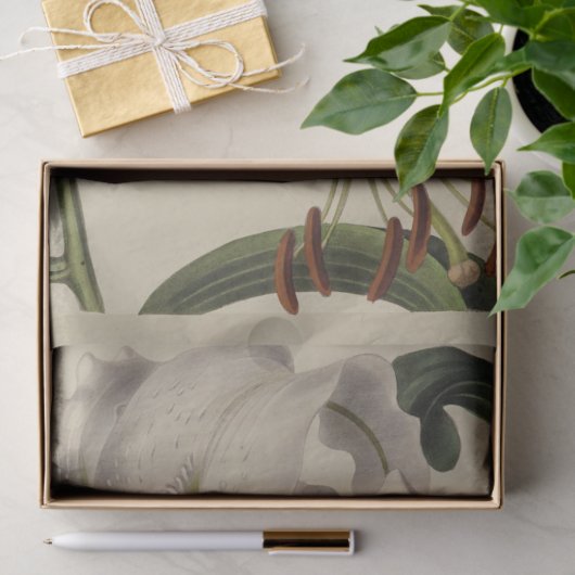  Bloemenephemera Decoupage Paarse Lelie Tissuepapier (Geschenk)