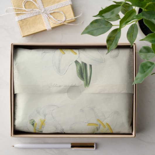 Bloemenephemera Decoupage Witte Lelie Tissuepapier (Geschenk)