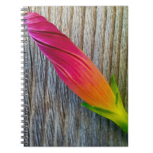 "Bloemenfoto
