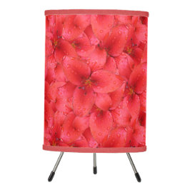 Bloemenfoto Rode Tuin Lily