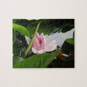 Bloemenfoto Roze Bloesems Water Lilly Legpuzzel (Horizontaal)