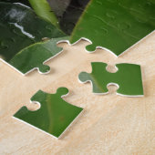 Bloemenfoto Roze Bloesems Water Lilly Legpuzzel (Zijkant)