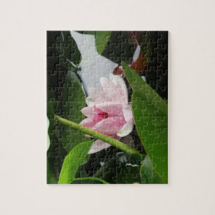 Bloemenfoto Roze Bloesems Water Lilly Legpuzzel