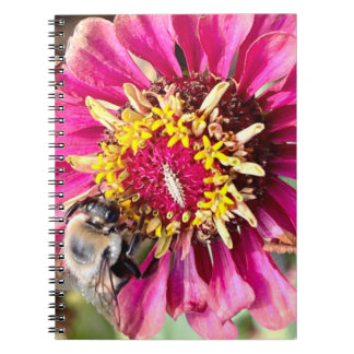 Bloemenfoto van New England Notitieboek