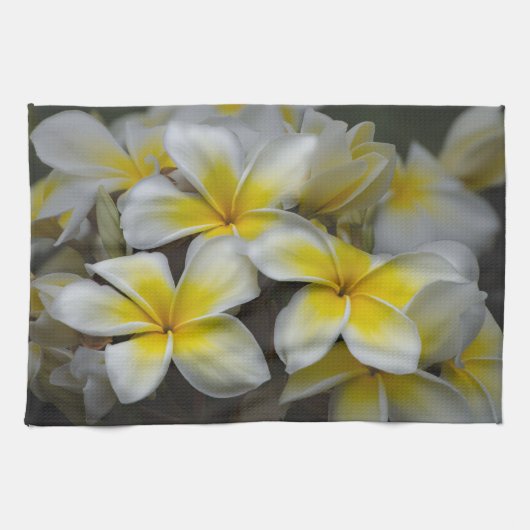 Bloemenfotografie, gele plumeria bloem theedoek (Horizontaal)