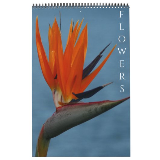 bloemenfotografie kalender (Hoes)