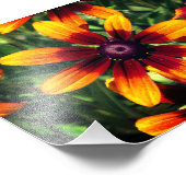 Bloemenfotografie Kodak Professional Foto Afdruk (Hoek)