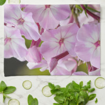 Bloemenfotografie, roze phlox bloem