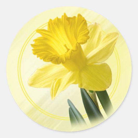 Bloemenfotografie Yellow Daffodil Natuur Pic Ronde Sticker (Voorkant)