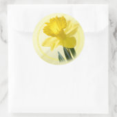 Bloemenfotografie Yellow Daffodil Natuur Pic Ronde Sticker (Tas)