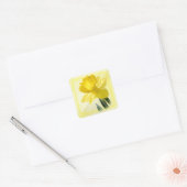 Bloemenfotografie Yellow Daffodil Natuur Pic Vierkante Sticker (Envelop)