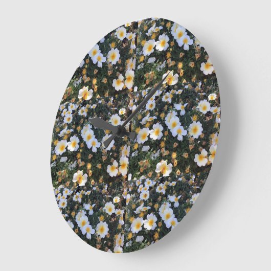 bloemengeluksklok grote klok (Hoek)