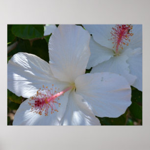 Bloemengeur Canvasprint Poster