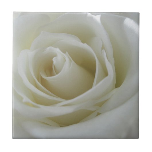 bloemengloed tegeltje (Voorkant)