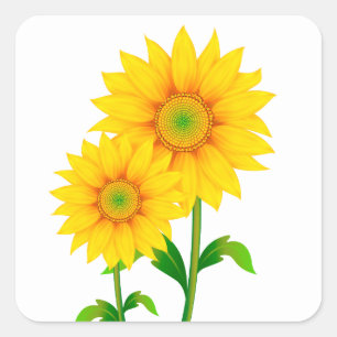 Bloemengroen Gele Zonnebloem Bloem Zomer Vierkante Sticker