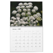 Bloemenkalender 2015 kalender (Jan 2027)
