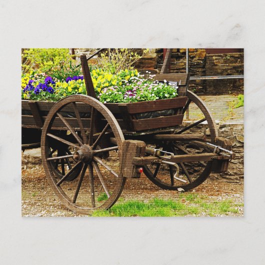 Bloemenkar Briefkaart (Voorkant)
