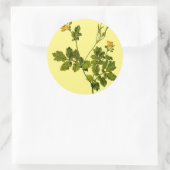 bloemenkruid van celandine ronde sticker (Tas)