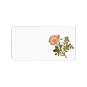 bloemenlabel - roze Roos Etiket (Voorkant)