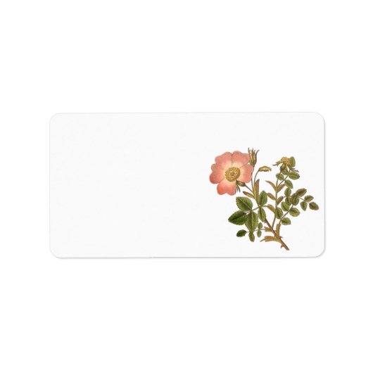 bloemenlabel - roze  Roos Etiket (Voorkant)