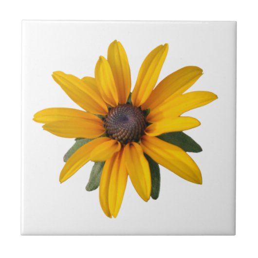 Bloemenland Happy Yellow Tegeltje (Voorkant)